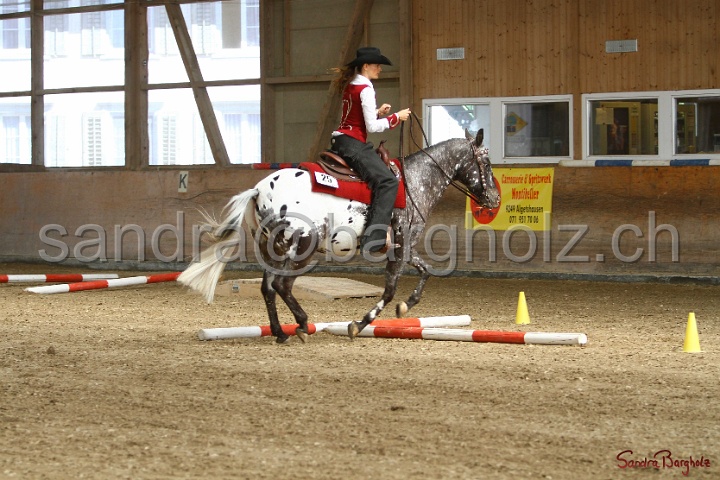 26-ApHC GT_024.jpg